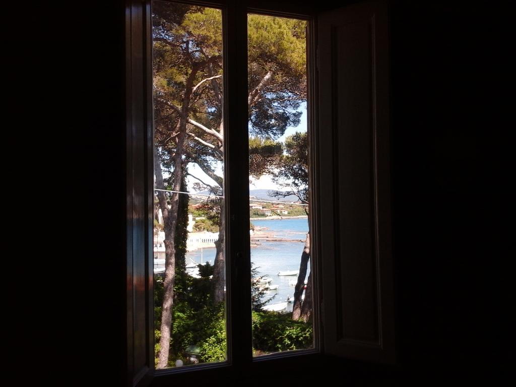 Villa Violetta Castiglioncello Rum bild