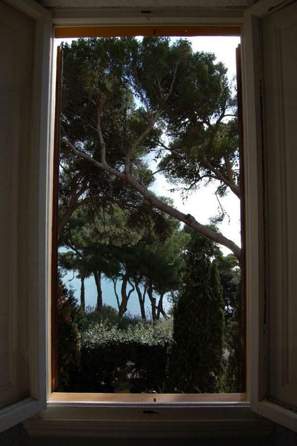 Villa Violetta Castiglioncello Exteriör bild